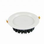 8 inch 40W CROWN LED Downlight, Downlighter, Down Light